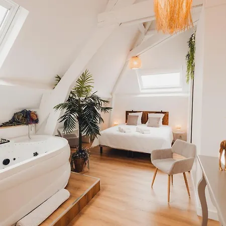 Au Coin De Paradis - Balneo 4* Samer