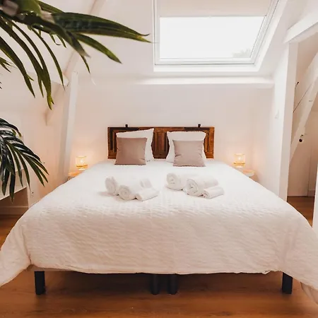 B&B Au Coin De Paradis - Balneo Samer